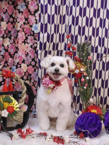 20250125うみちゃん